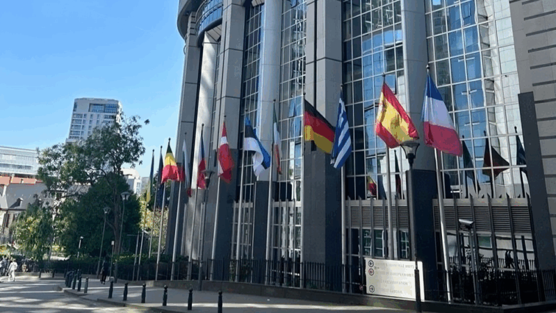 ESGO is stepping into the European Parliament