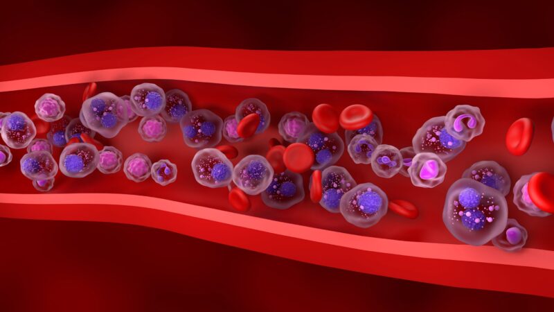 New Research from MD Anderson Shows that Teclistamab is Safe and Effective for Older Patients with RRMM