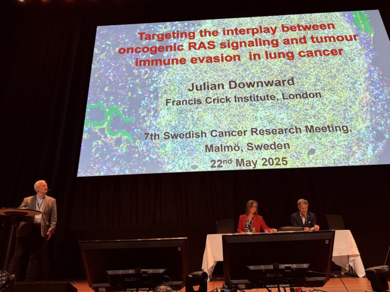 Lao Saal Recaps 7th Swedish Cancer Research Meeting and Showcases Top Talks