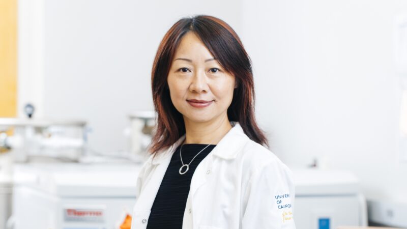 Common Antidepressants Could Help the Immune System Fight Cancer, UCLA Study Finds