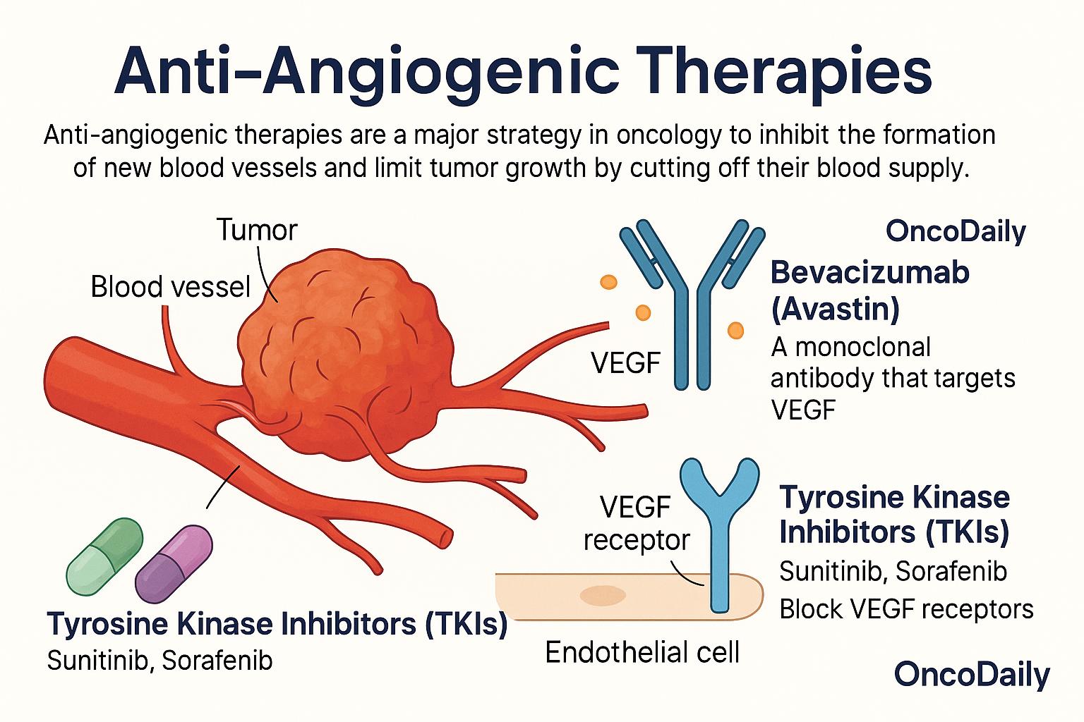 Therapeutic Targeting of Angiogenesis