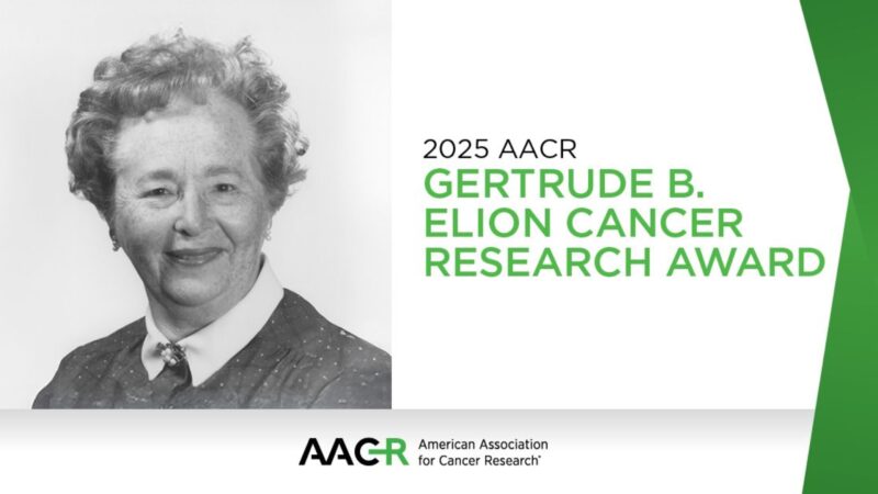 $225,000 AACR Gertrude B. Elion Award Supports Junior Faculty Cancer Research – AACR