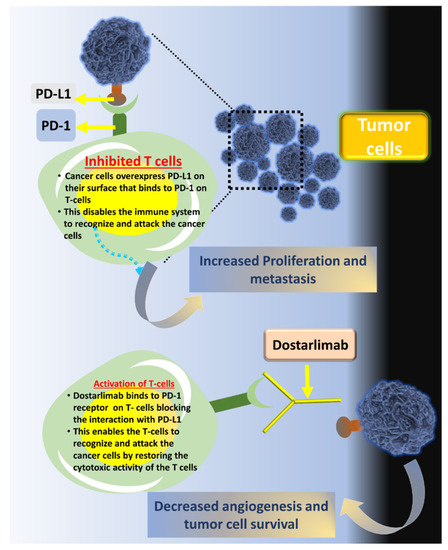 Dostarlimab (Jemperli) mechanism of action on OncoDaily