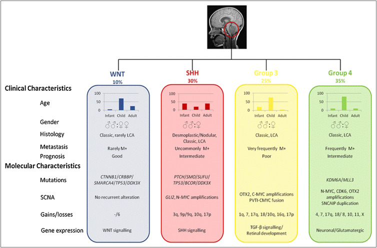 Medulloblastoma: Breakthroughs in Types, Symptoms, Diagnosis, Treatment, and 2025 Advances in Care