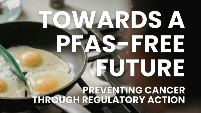 Association of European Cancer Leagues Shared a New Position Paper on PFAS free future