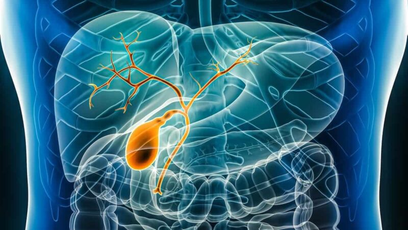 Generation of a Biliary Tract Cancer Cell Line Atlas Identifies Molecular Subtypes and Therapeutic Targets