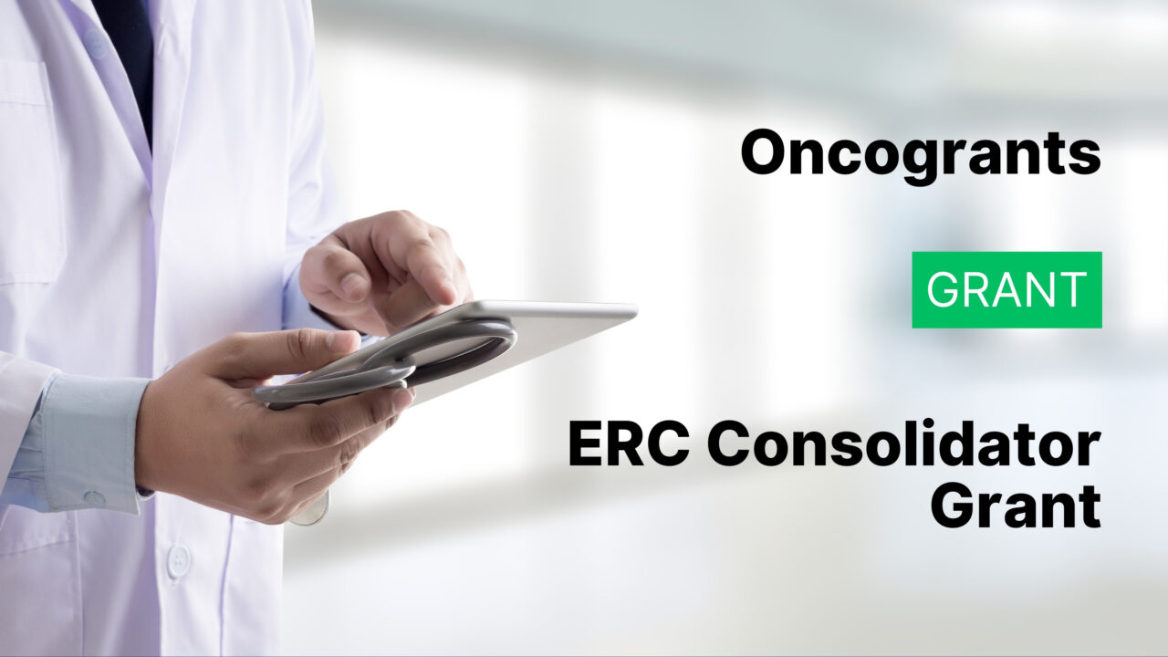 ERC Consolidator Grant