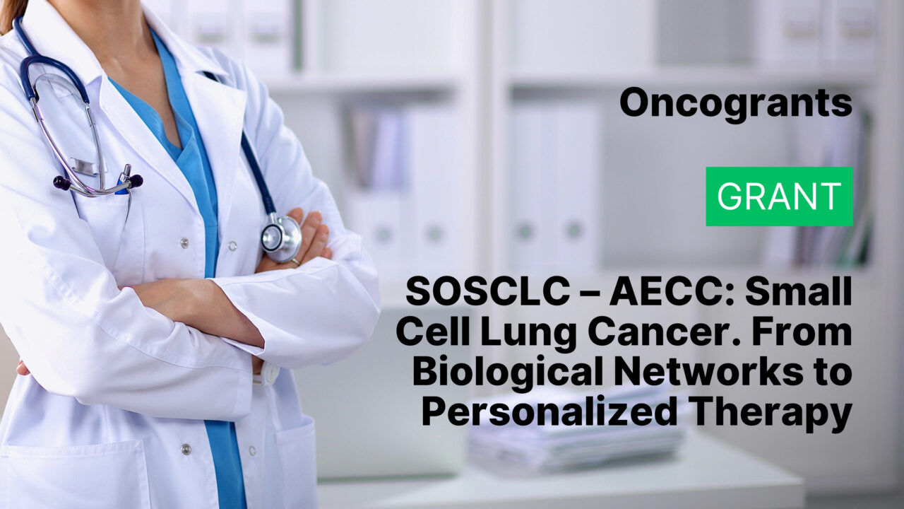 SOSCLC – AECC: Small Cell Lung Cancer. From Biological Networks to Personalized Therapy