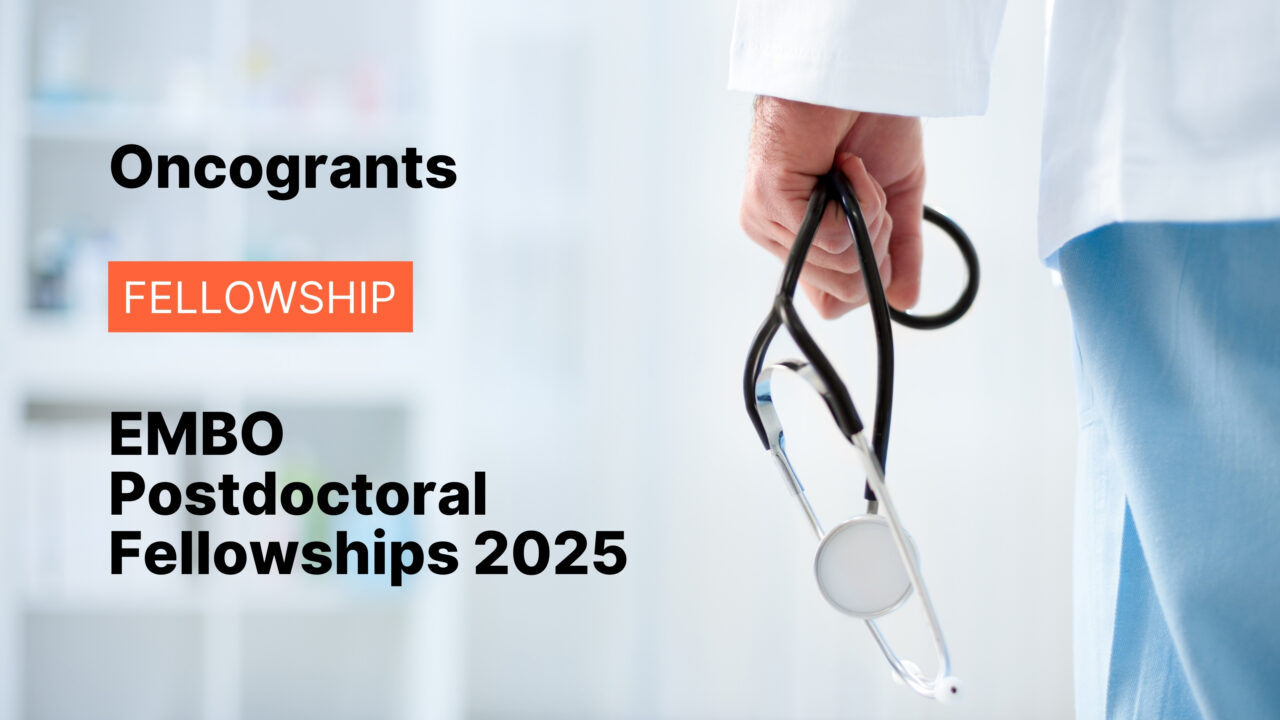 EMBO Postdoctoral Fellowships 2025