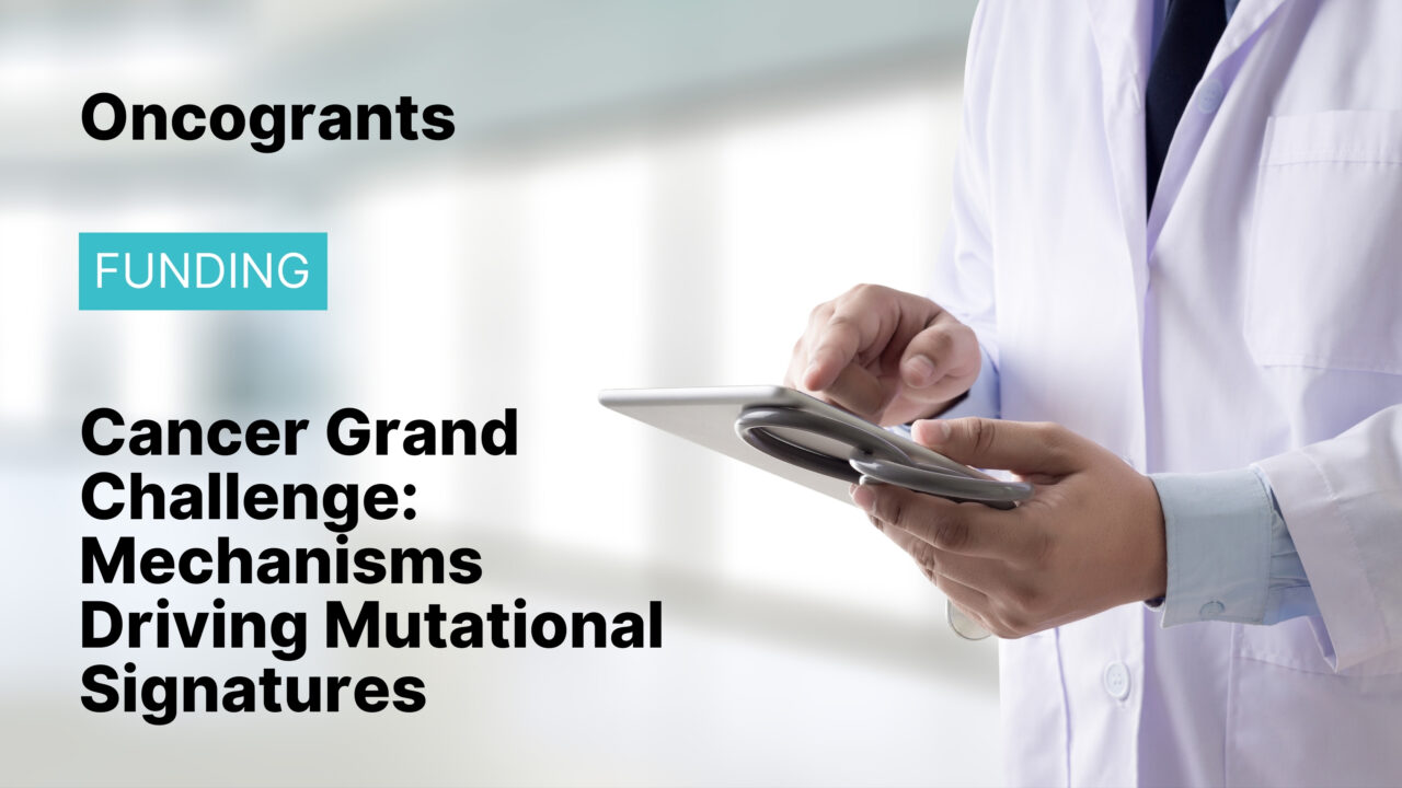 Cancer Grand Challenge: Mechanisms Driving Mutational Signatures