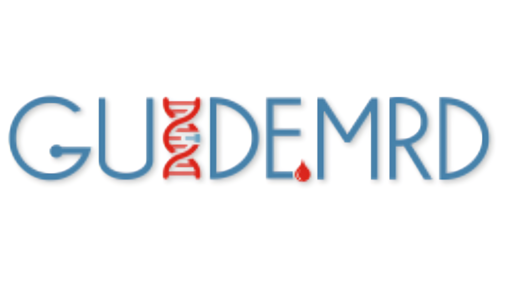 GUIDE.MRD Consortium Gathers in Nice for 3rd Annual General Assembly