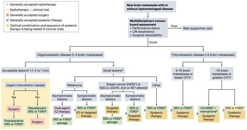 Diego A. Díaz García: Stereotactic Radiosurgery in Oligometastatic Brain Disease