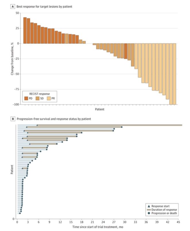 Praveen Kumar Marimuthu: Pembrolizumab in previously treated patients with Advanced Clear Cell Gynecological Cancer