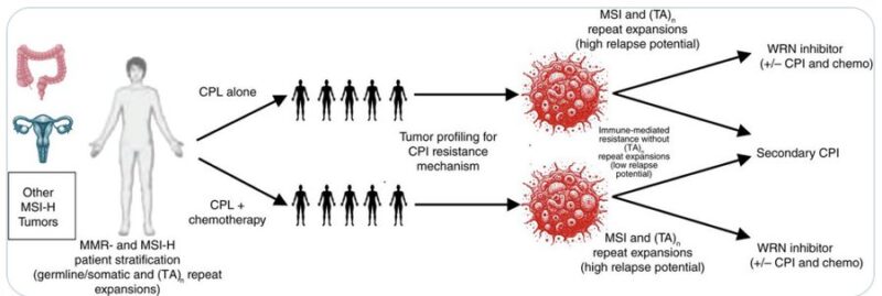 PSOGI Explores Evolving Approaches to MSI-H Colorectal Peritoneal Metastases in Case of the Month