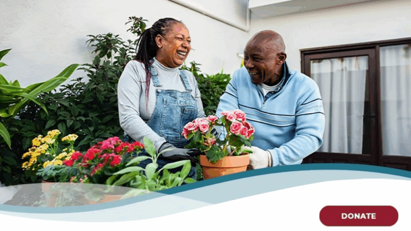 The Myeloma Minute is Out – International Myeloma Foundation