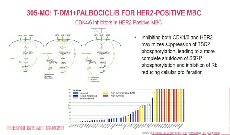 Antonio Giordano: Benefit of CDK4/6i in HER2+ MBC