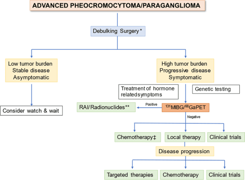 Pheochromocytoma 