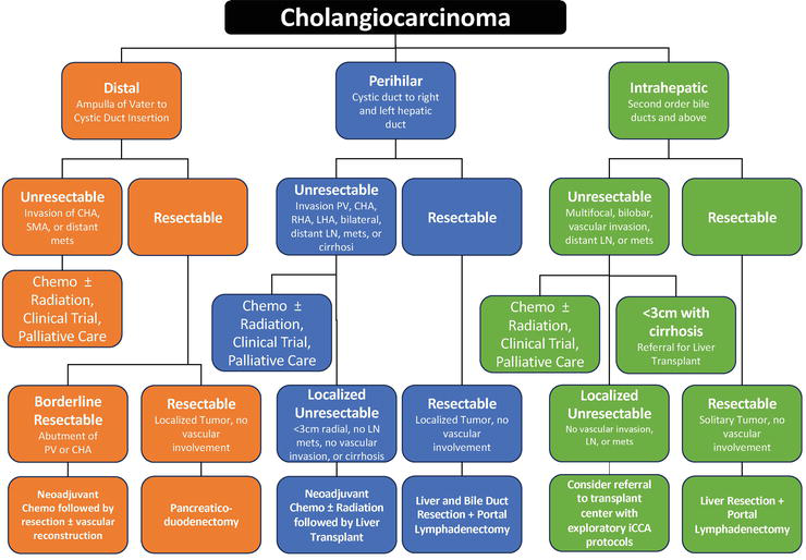 Cholangiocarcinoma: Latest Risk Factors, Symptoms, Diagnosis, and 2025 Advanced Treatment Options for Bile Duct Cancer