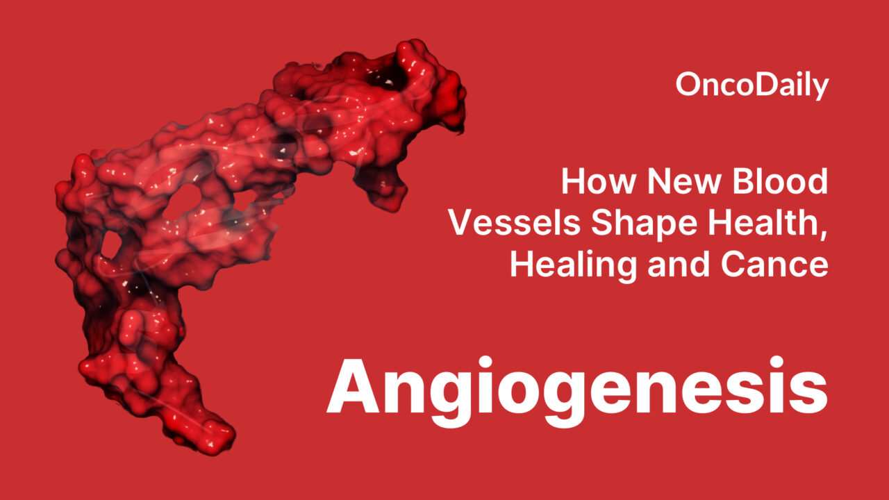 Angiogenesis: How New Blood Vessels Shape Health, Healing and Cancer