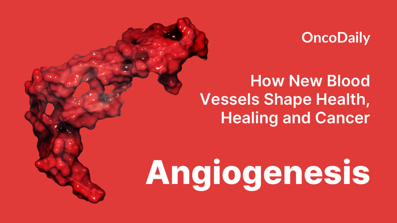 Angiogenesis: How New Blood Vessels Shape Health, Healing and Cancer