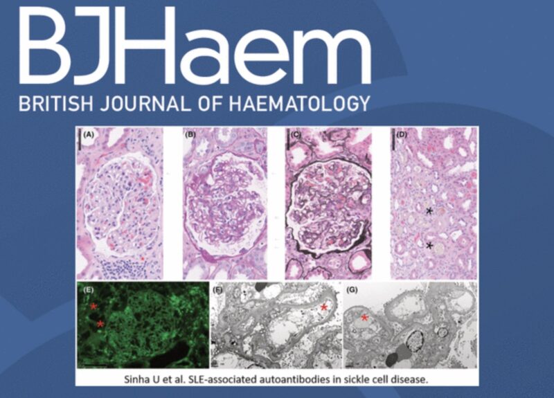 Rapid Review of Manuscripts 