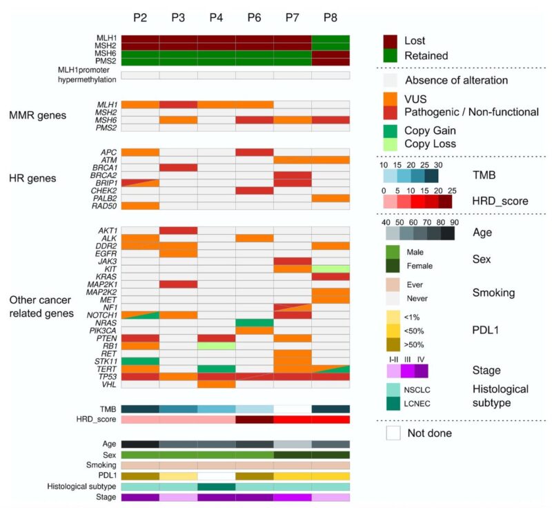 AI-powered NGS profiling 