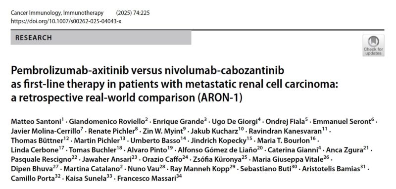 Francesco Massari: Another Important Experience by ARON Project on First-Line Treatment Options for mRCC patients