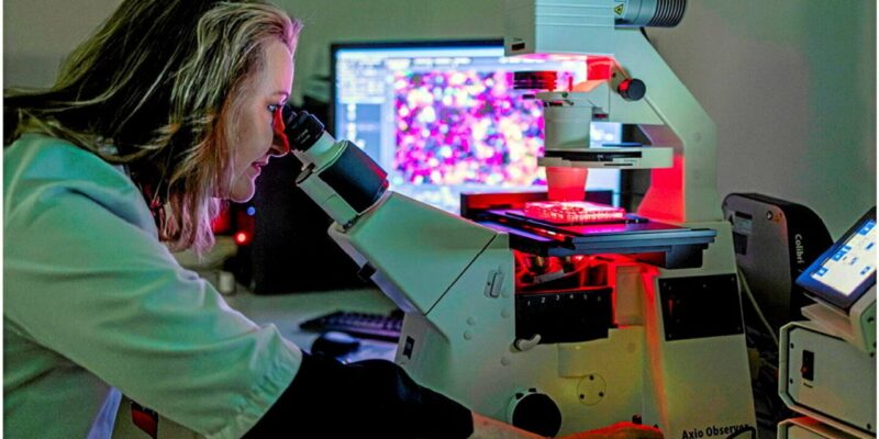  Research on Liquid Biopsy 
