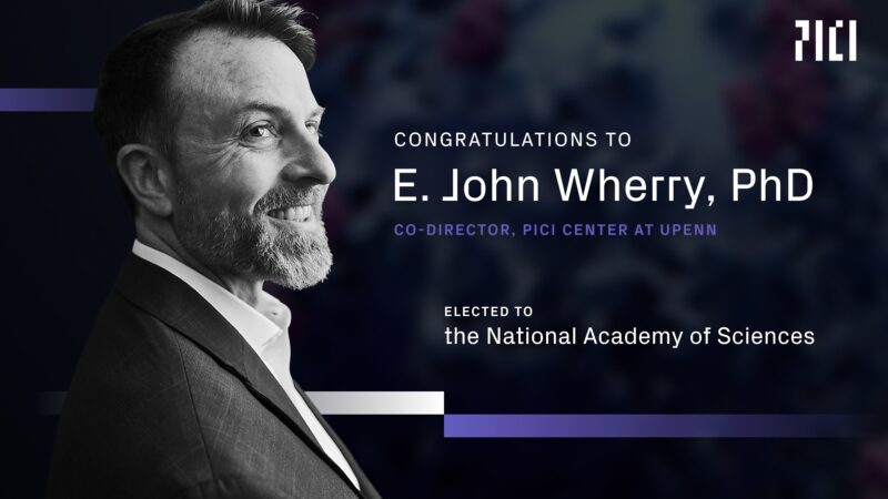 E. John Wherry elected to National Academy of Sciences for cancer immunotherapy research