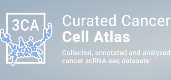The Curated Cancer Cell Atlas Provides a Comprehensive Characterization of Tumors at Single-Cell Resolution