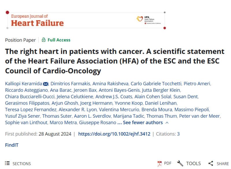 Novi Yanti Sari: Why Right Heart Function and Involvement in Cancer Patients Deserves More Attention