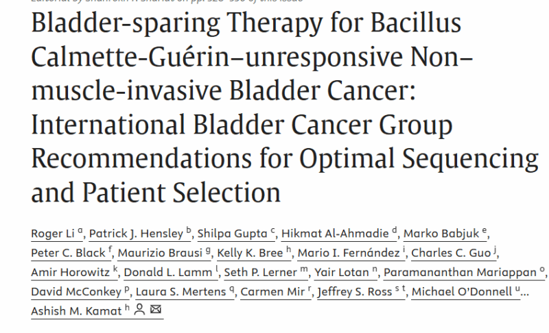 Ashish Kamat: International Bladder Cancer Group Recommendations for Optimal Sequencing and Patient Selection