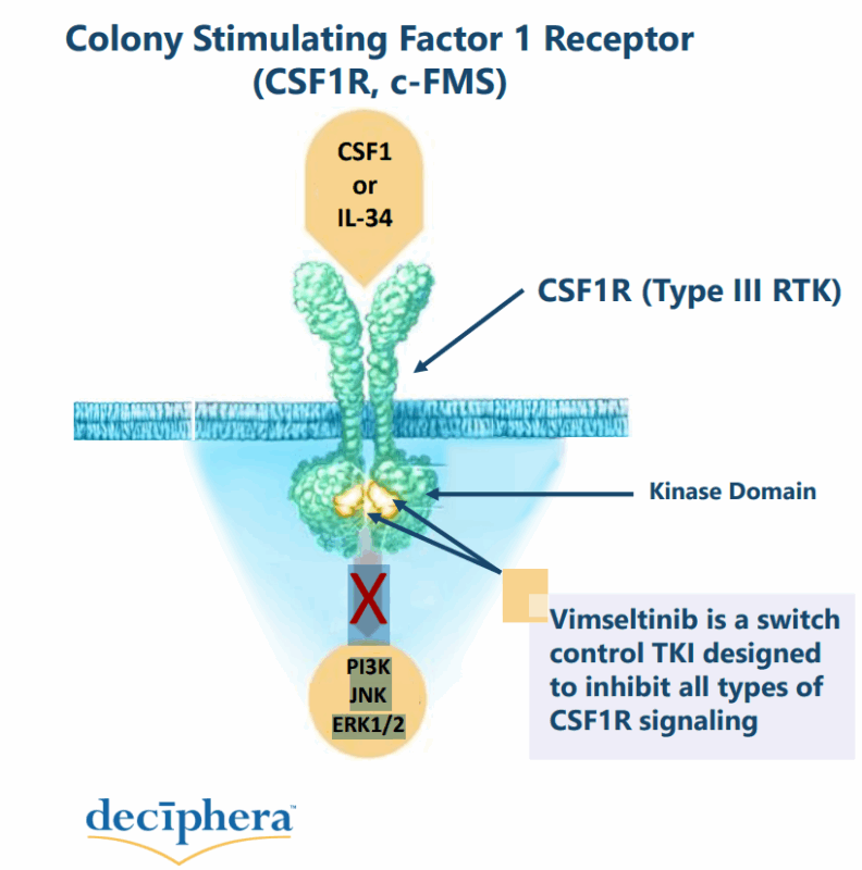 Vimseltinib mechanism of action OncoDaily
