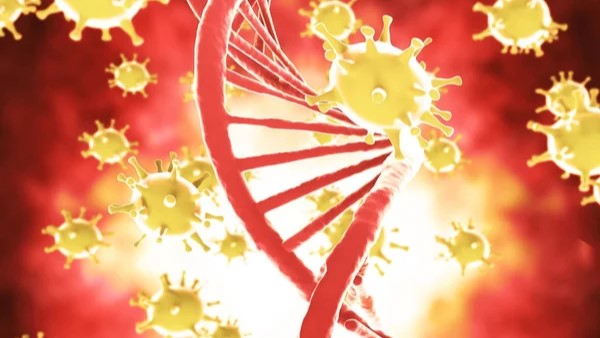Circulating Tumor DNA Clearance as a Predictive Biomarker of Pathologic Complete Response in Solid Tumors Treated with Neoadjuvant ICIs