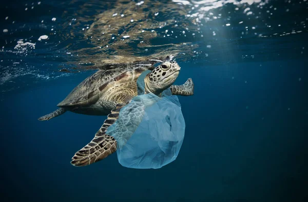Does Plastic cause cancer