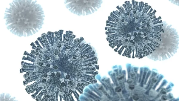 IARC Evaluates Carcinogenicity of HDV, HCMV, and MCPyV