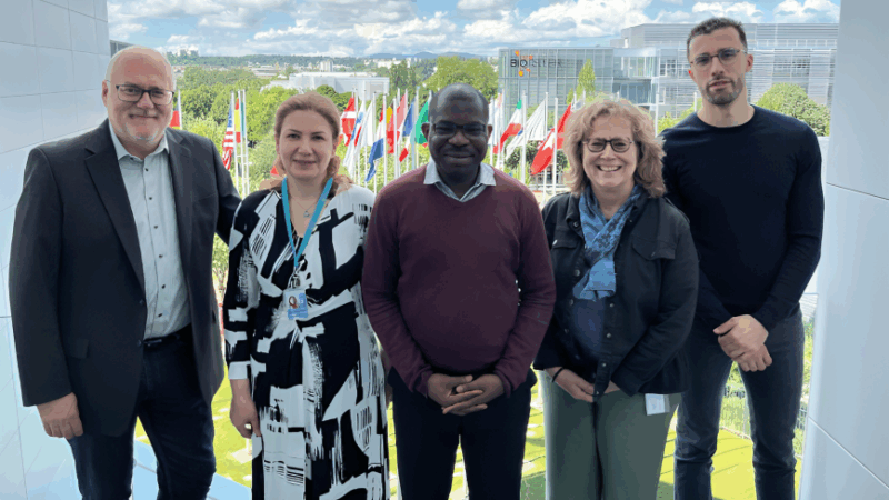 Environmental Risk Factors of Wilms Tumour – Childhood Cancer and Leukemia International Consortium