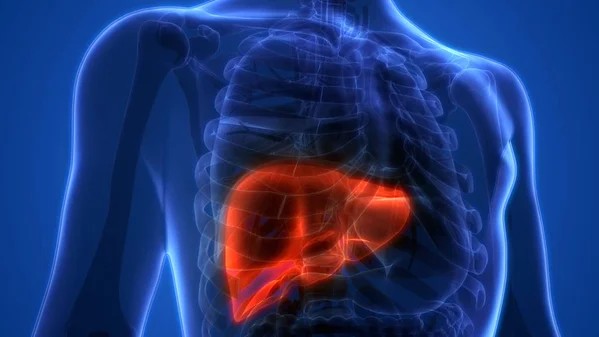 European Liver Patients’ Association: The Role of Research and Innovation in Advancing Liver Cancer Therapies