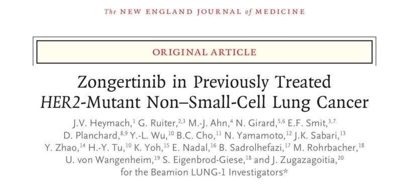 David Planchard Highlights Promise and Access Challenges of HER2-TKIs for HER2-Mutant NSCLC