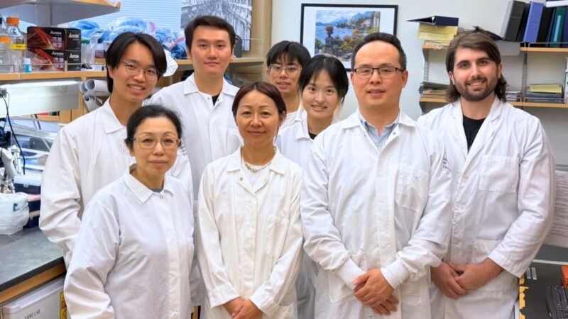 Common Antidepressants Could Help the Immune System Fight Cancer, UCLA Study Finds 4 Common Antidepressants Could Help the Immune System Fight Cancer, UCLA Study Finds