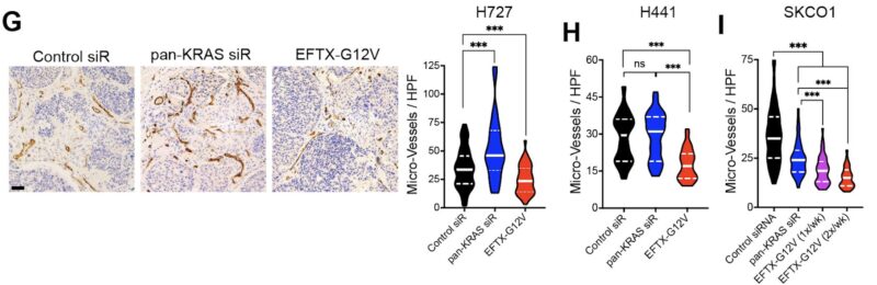 Chad Pecot: A First-in-Class EGFR-Directed KRAS G12V Selective Inhibitor