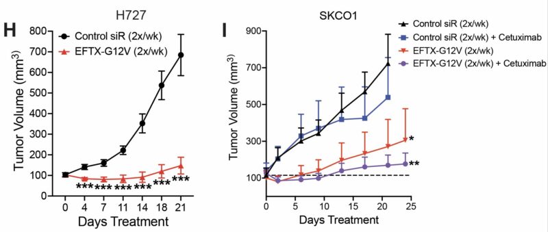 Chad Pecot: A First-in-Class EGFR-Directed KRAS G12V Selective Inhibitor