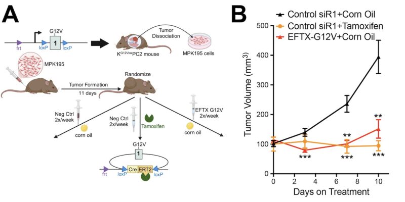 Chad Pecot: A First-in-Class EGFR-Directed KRAS G12V Selective Inhibitor