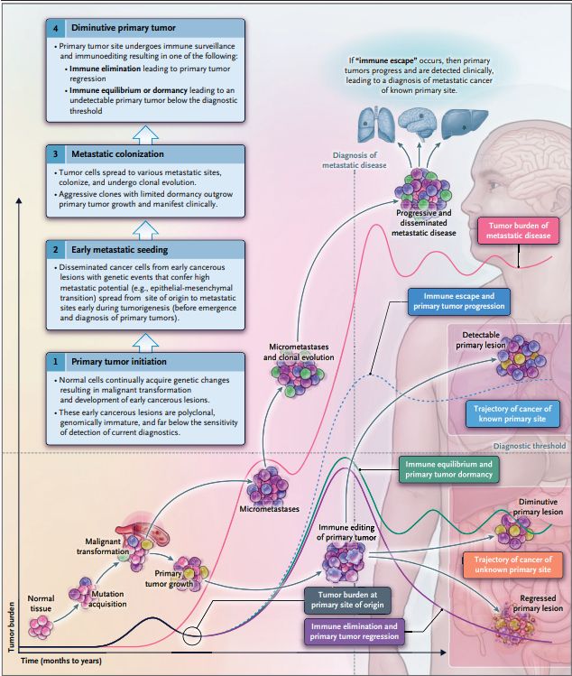 Jean-Charles Soria: Carcinoma of Unknown Primary