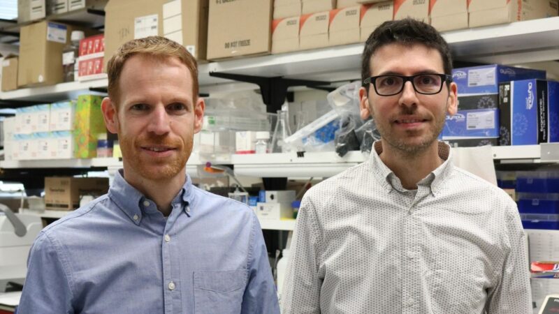 CCR Researchers Snipped Over 12,000 Exons Out of the Genomes of Lab-grown Human Cells – NCI Center for Cancer Research