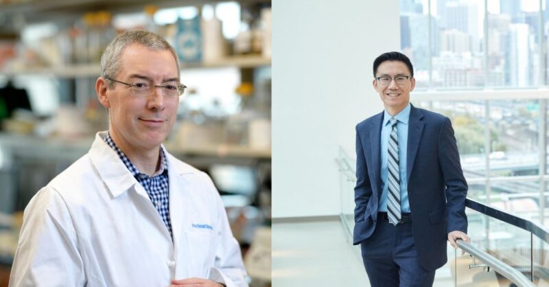 Michael Glickman and Andy Minn Have Been Appointed Co-Directors of the Marie-Josée Kravis CCI at MSK