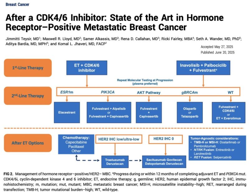 Elvina Almuradova: What Comes After CDK4/6 Inhibitors in HR+ Metastatic Breast Cancer?