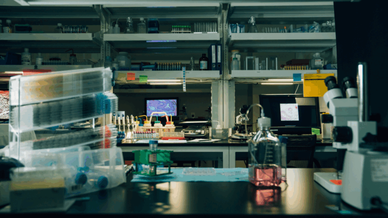 25 Years of Advancing Cancer Genomics Education: Insights from City of Hope Expert Heather Hampel