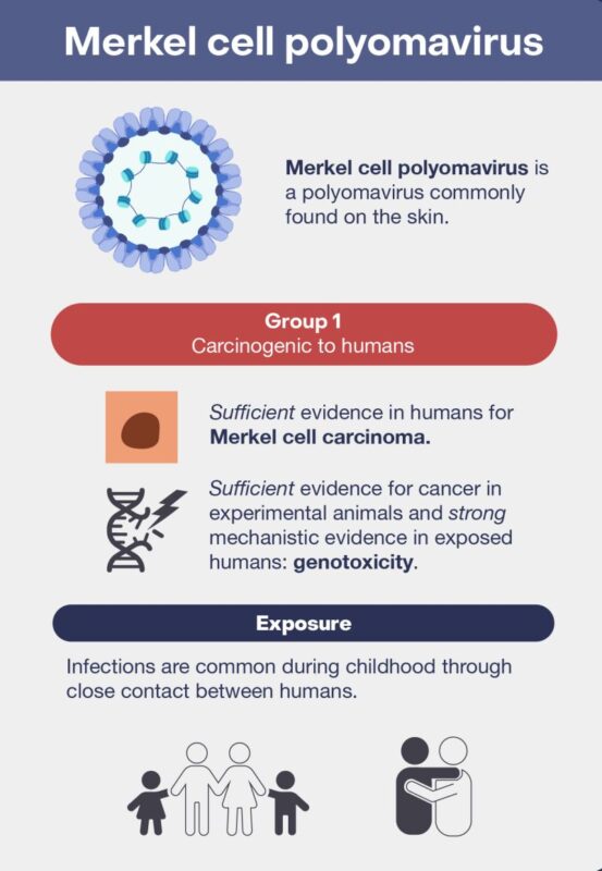 IARC Evaluates Carcinogenicity of HDV, HCMV, and MCPyV
