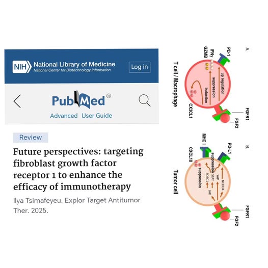 Ilya Tsimafeyeu: Targeting Fibroblast Growth Factor Receptor 1 to Enhance the Efficacy of Immunotherapy